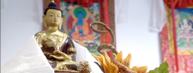 Trasmissione del Gyud-shi