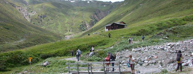 Escursioni botaniche